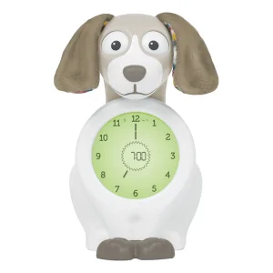 Zazu - Slaaptrainer - Davy de hond